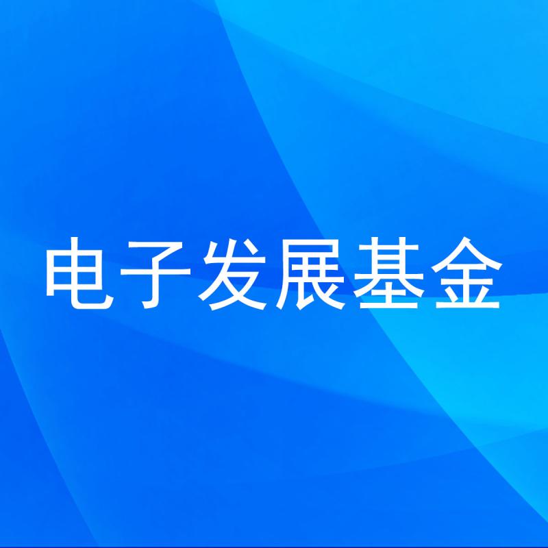 电子发展基金