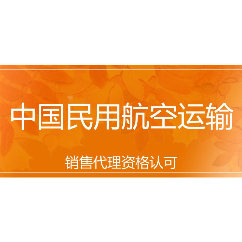 中国民用航空运输销售代理资格认可