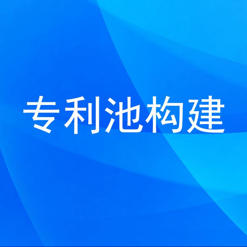 专利池构建