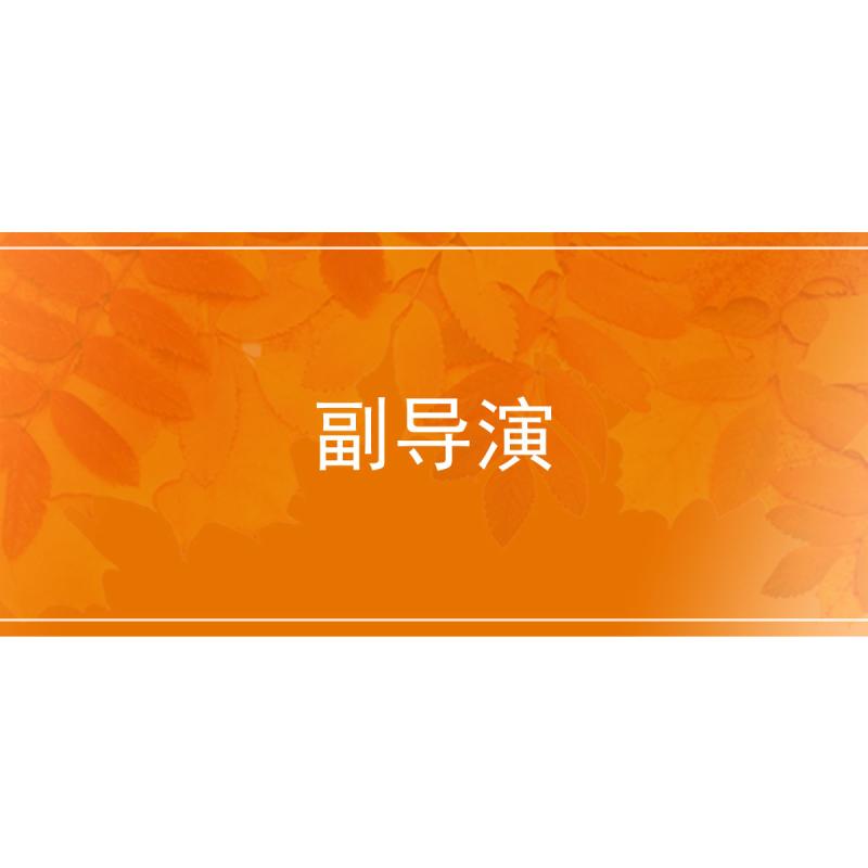 副导演
