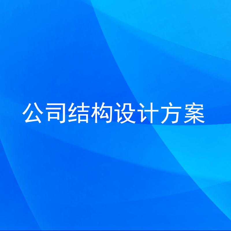 公司结构设计方案