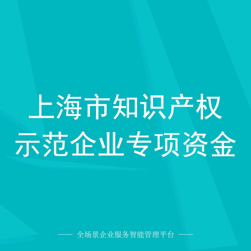 上海市知识产权示范企业专项资金
