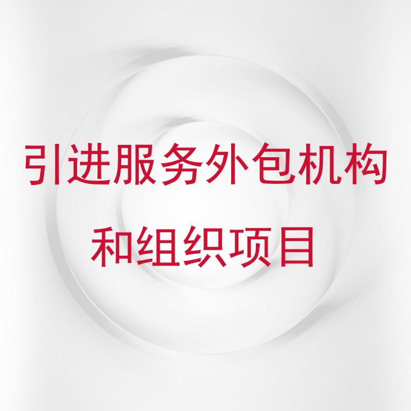 引进服务外包机构和组织项目