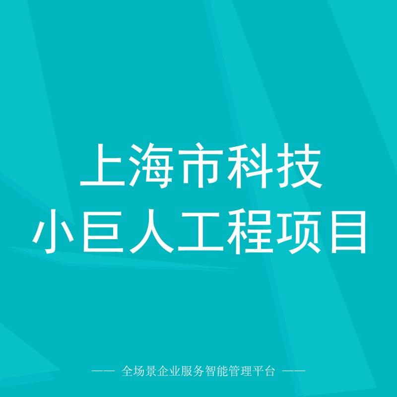 上海市科技小巨人工程项目