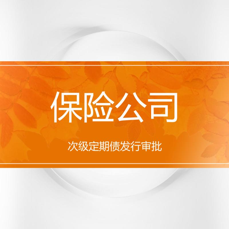 保险公司次级定期债发行审批