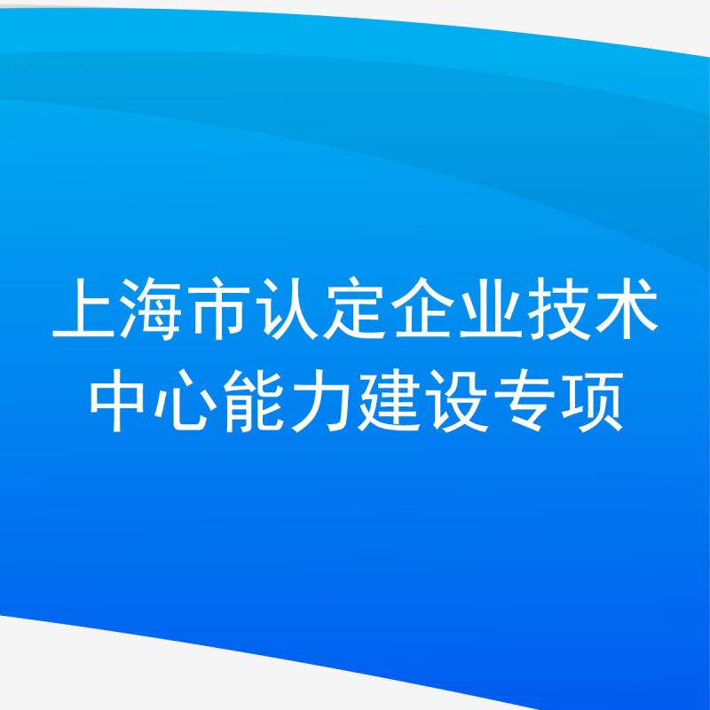 上海市认定企业技术中心能力建设专项