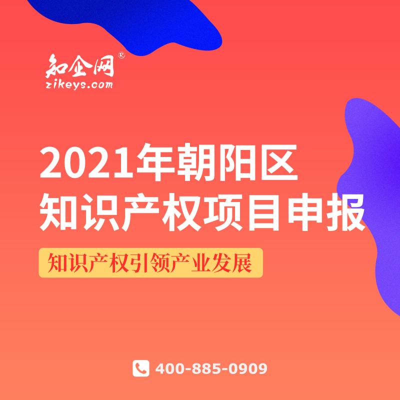 2021年朝阳区知识产权项目申报