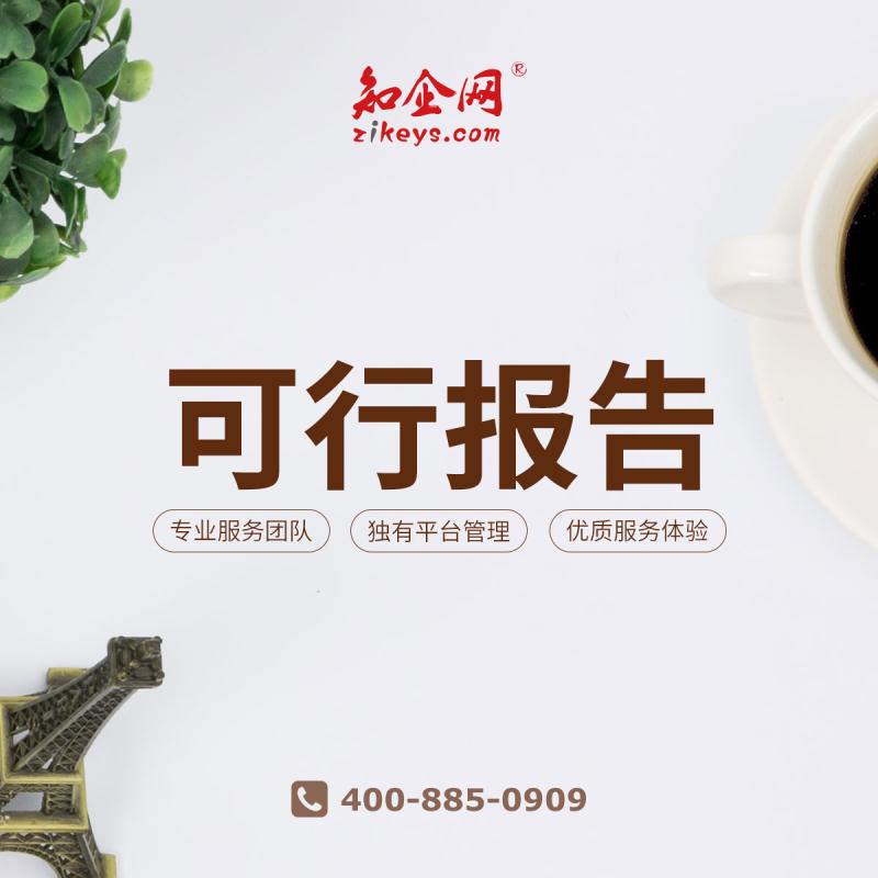 可行报告
