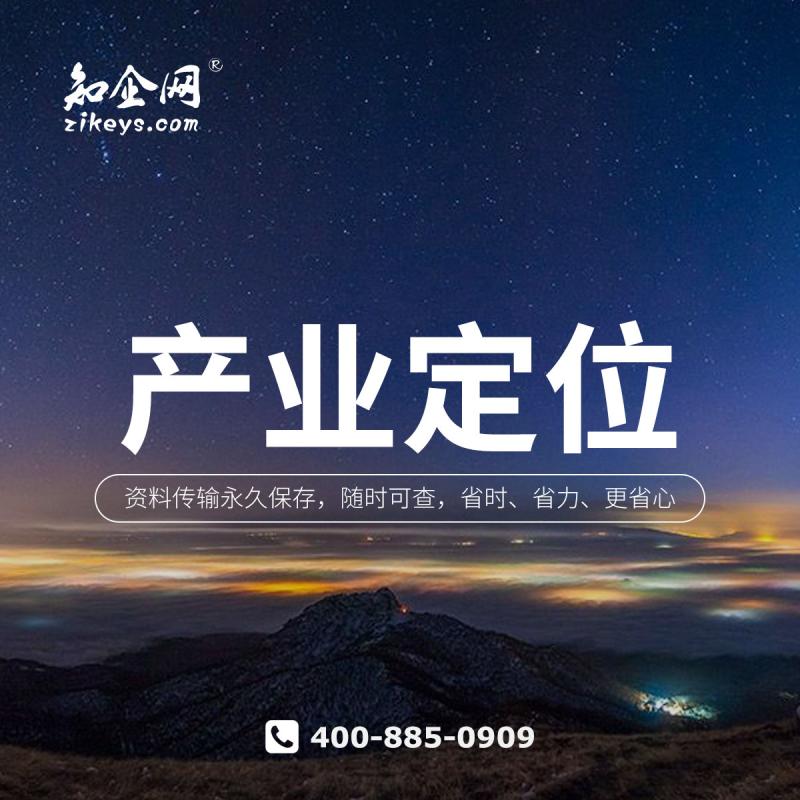 产业定位