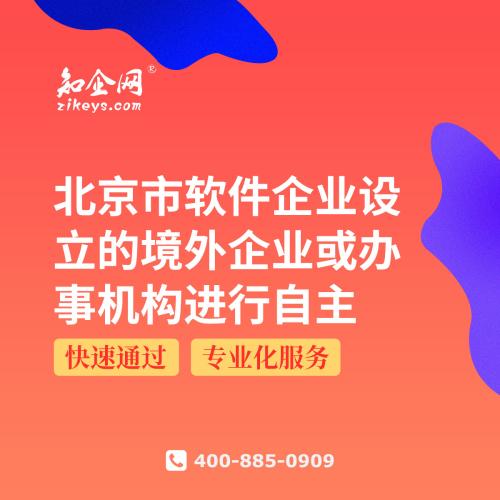 北京市软件企业设立的境外企业或办事机构进行资助