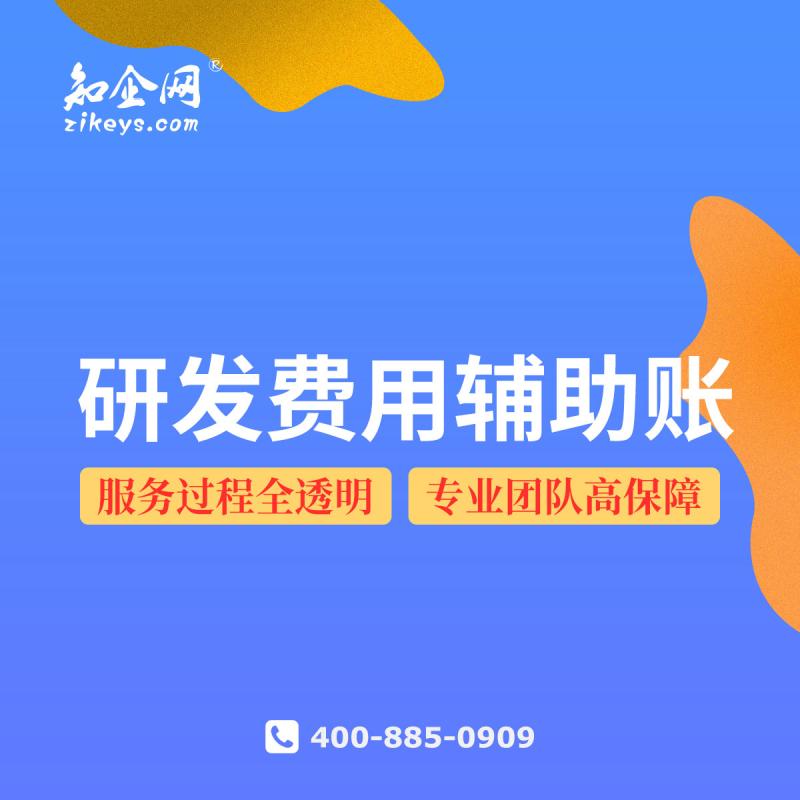 研发费用辅助账