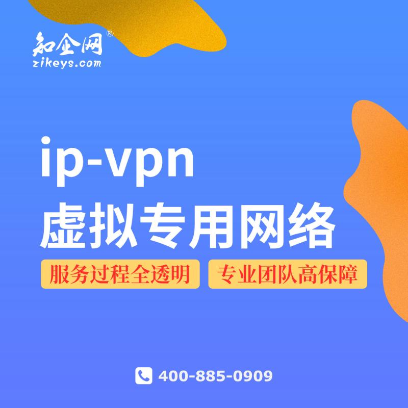 ip-vpn虚拟专用网络
