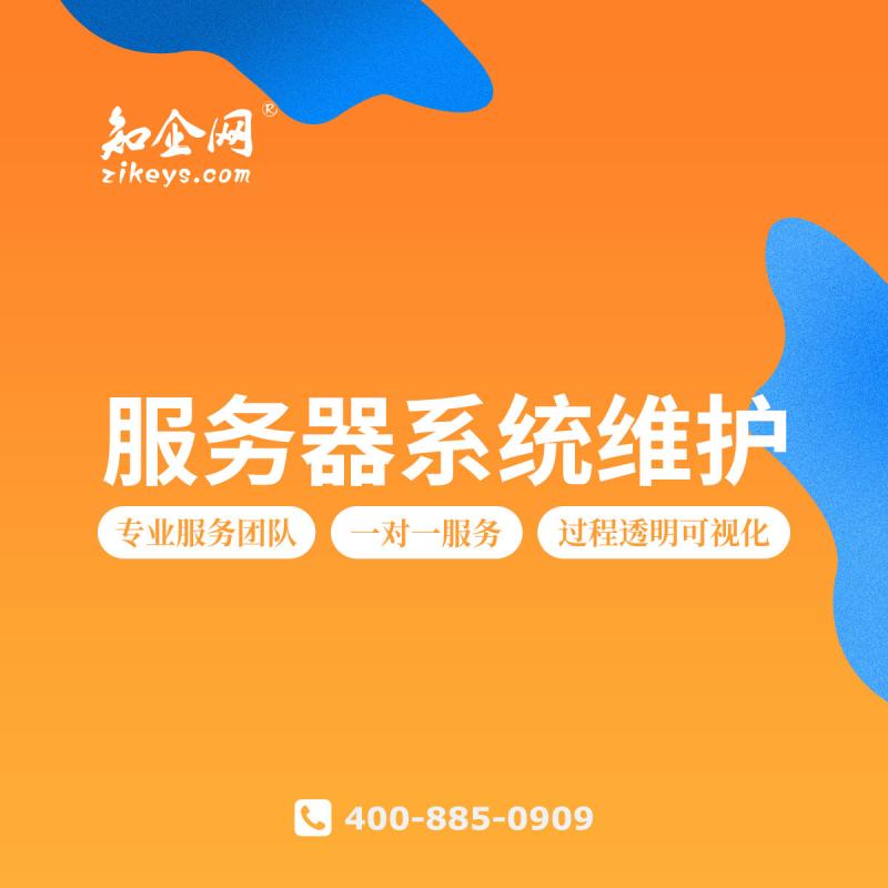 服务器系统维护