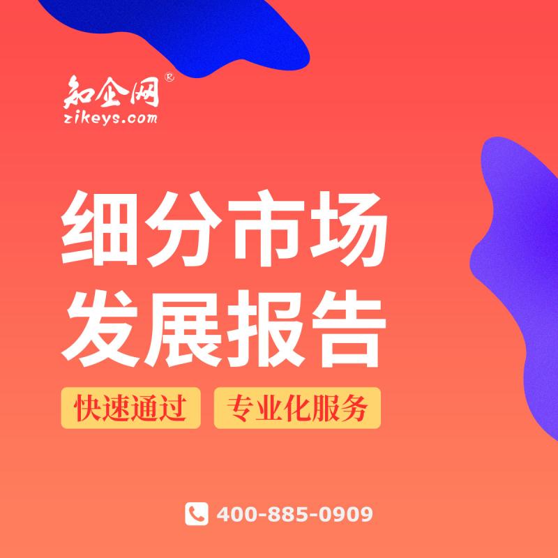 细分市场发展报告
