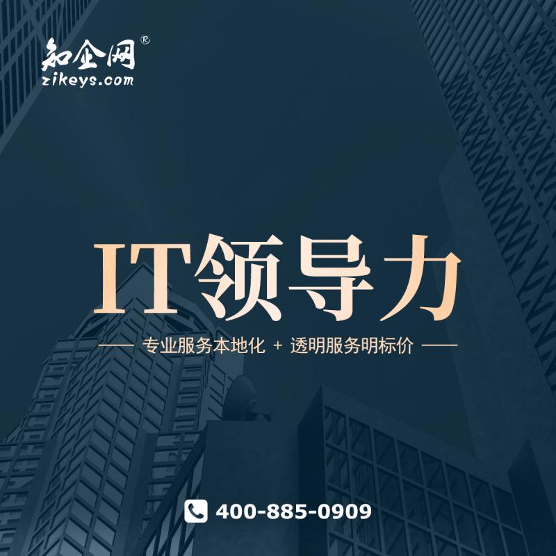 IT领导力