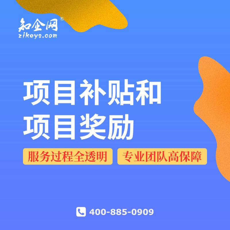 项目补贴和项目奖励