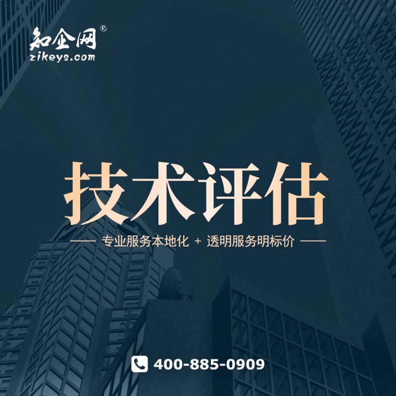 技术评估