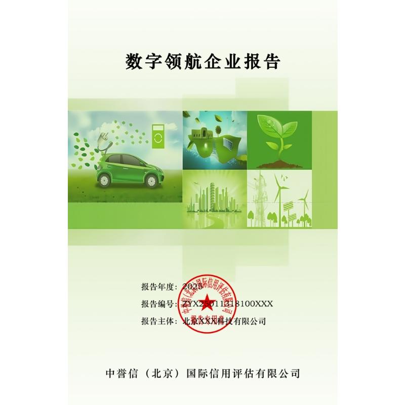 数字领航评价报告