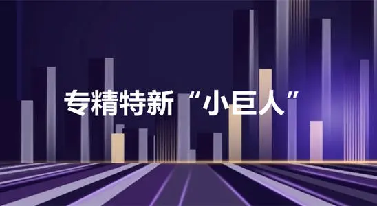 专精特新