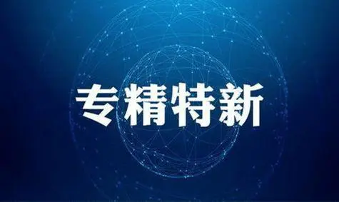 专精特新小巨人 专精特新小巨人