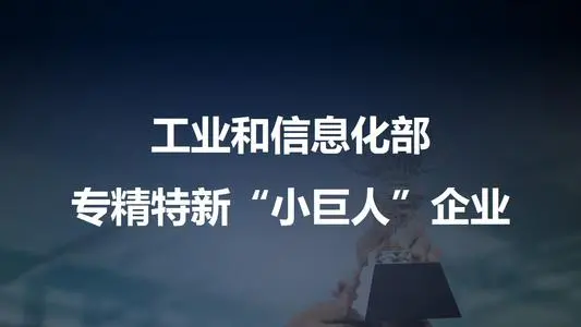 专精特新
