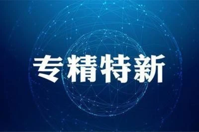 专精特新