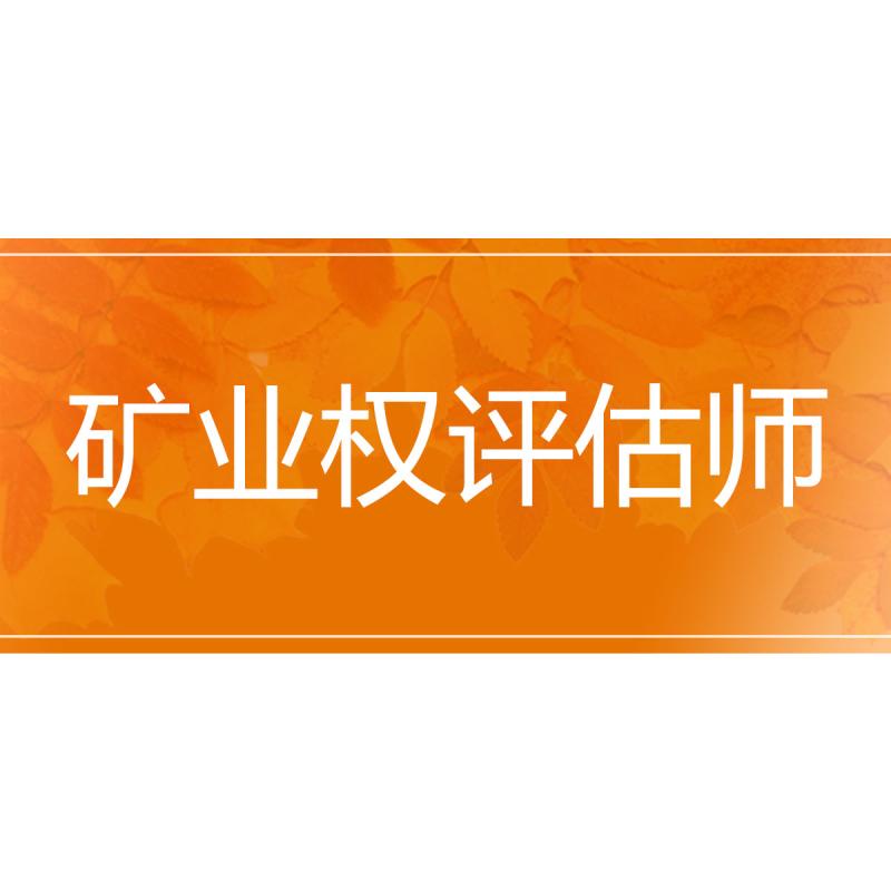 矿业权评估师