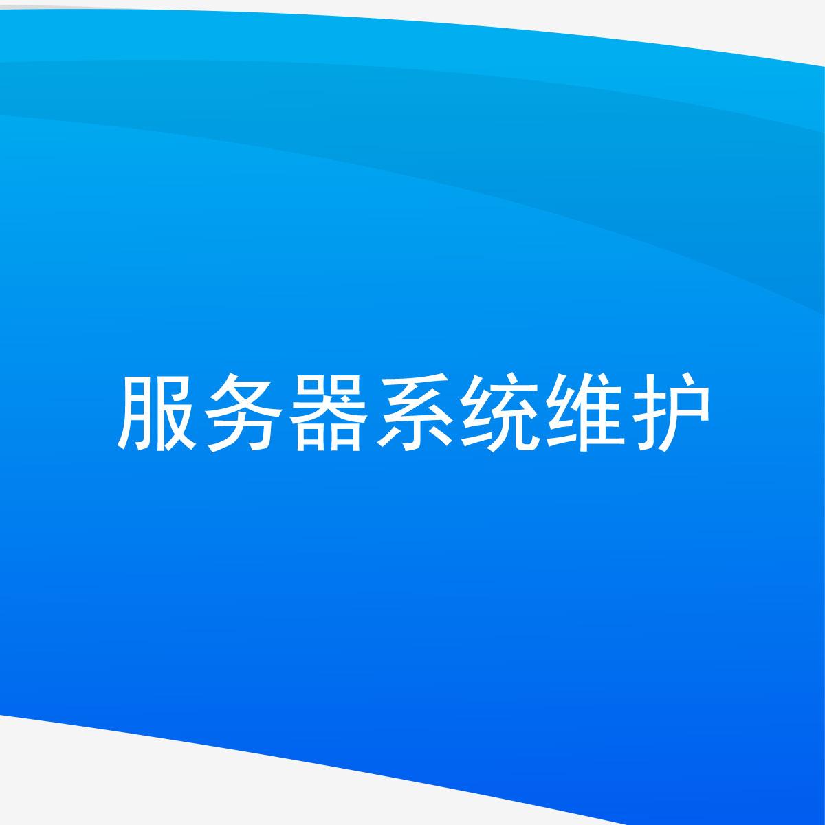 网站维护服务