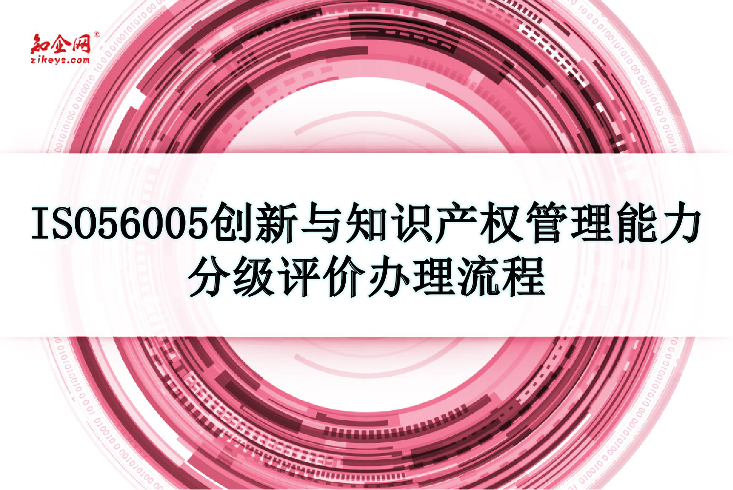 ISO56005创新与知识产权管理能力分级评价