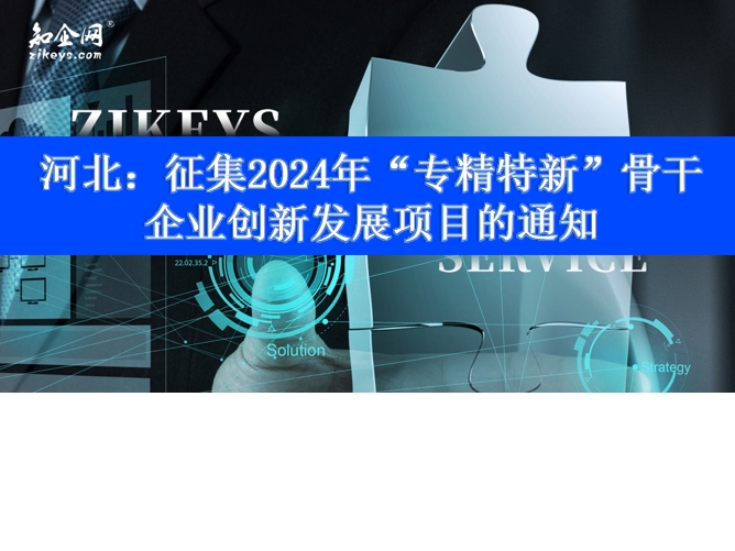 河北：征集2024年“专精特新”骨干企业创新发展项目的通知