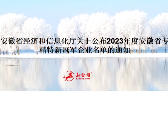 安徽省经济和信息化厅关于公布2023年度安徽省专精特新冠军企业名单的通知