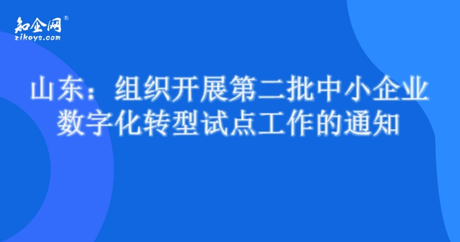 山东：组织开展第二批中小企业数字化转型试点工作的通知