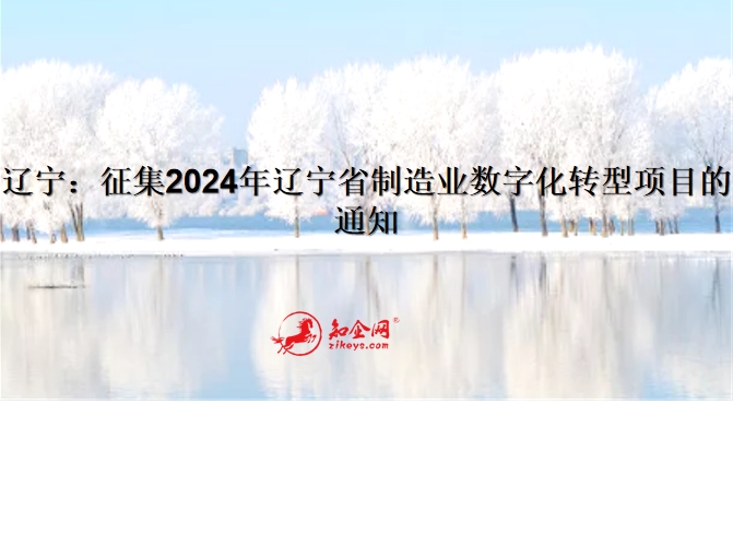 辽宁：征集2024年辽宁省制造业数字化转型项目的通知
