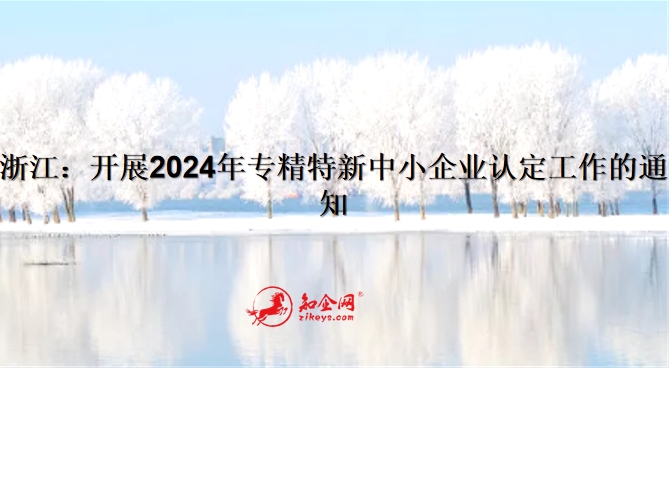 浙江：开展2024年专精特新中小企业认定工作的通知